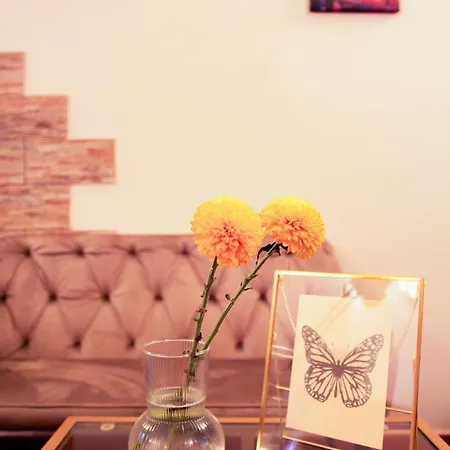 Farfalla Bianca - Guest house Rome