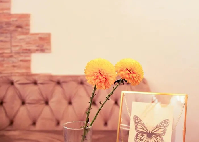 Farfalla Bianca - Guest house Rome