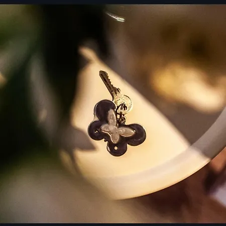 Farfalla Bianca - Roma